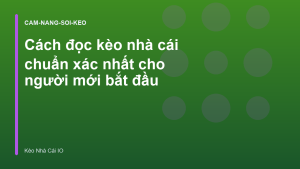 Read more about the article Cách đọc kèo nhà cái chuẩn xác nhất cho người mới bắt đầu